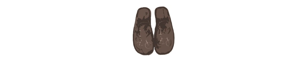 Zapatillas de casa